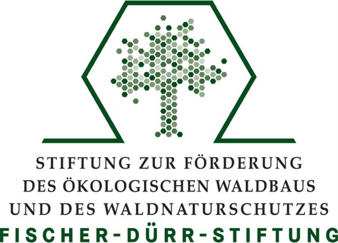 Logo der Fischer-Dürr-Stiftung
